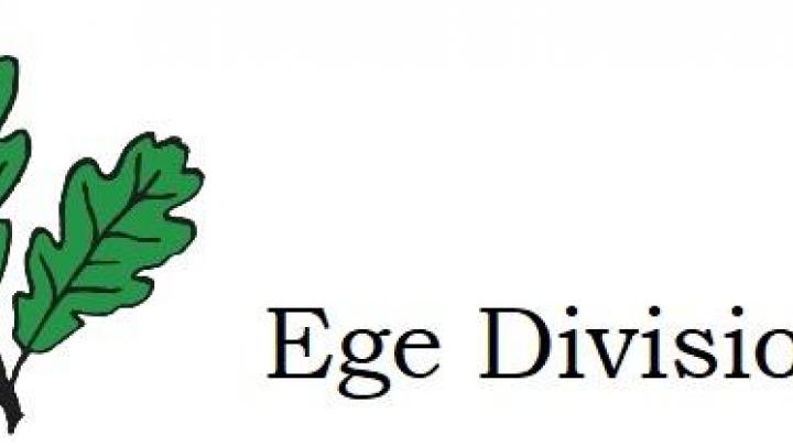ege divisions logo
