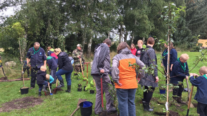 Spejdere planter træer