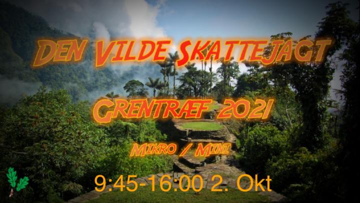 Den vilde skattejagt